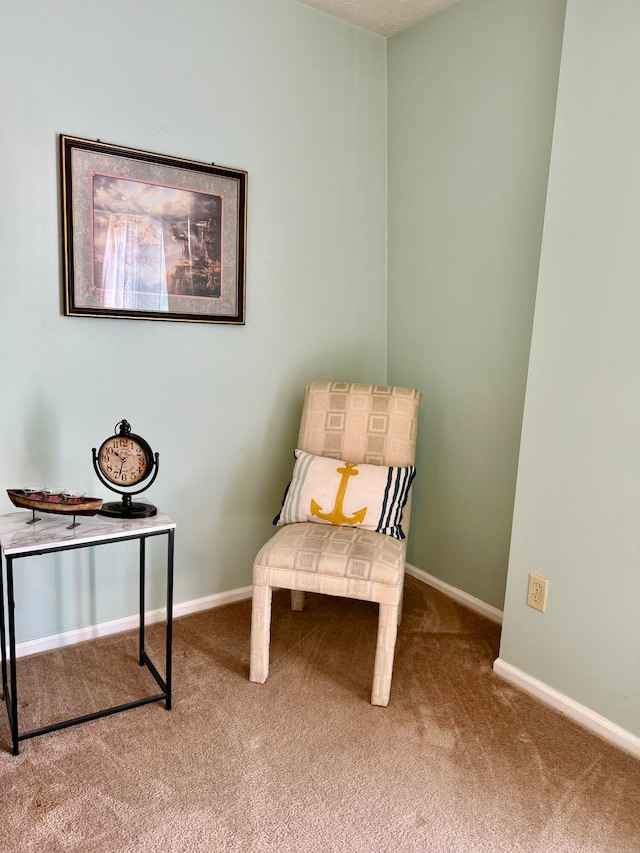 living area featuring carpet floors