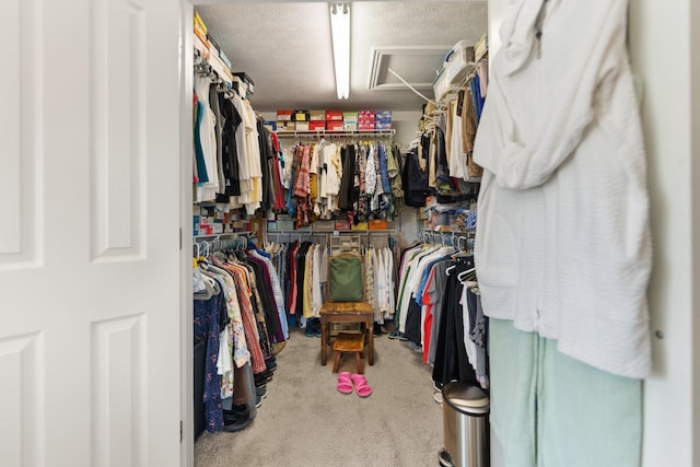 walk in closet with carpet