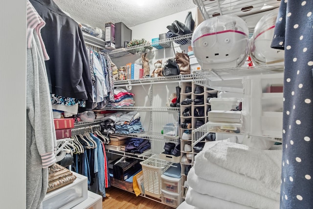 spacious closet with wood-type flooring