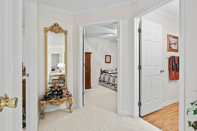 hallway featuring light hardwood / wood-style flooring and crown molding