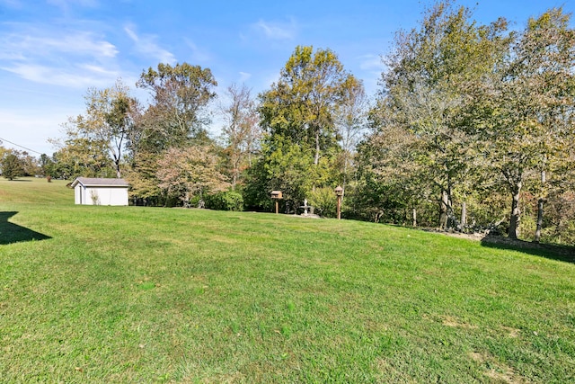 view of yard with a storage unit