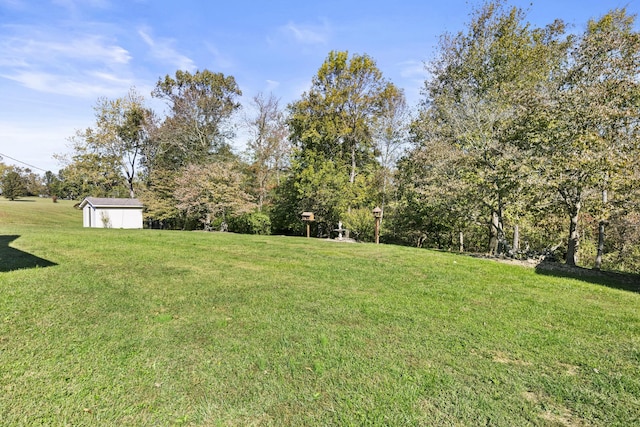 view of yard featuring an outbuilding and a storage shed