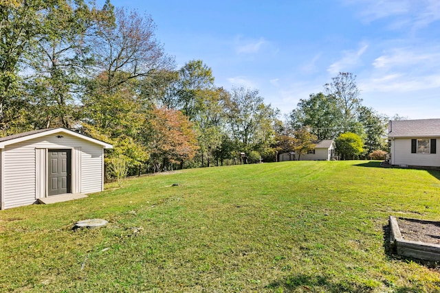 view of yard featuring a shed