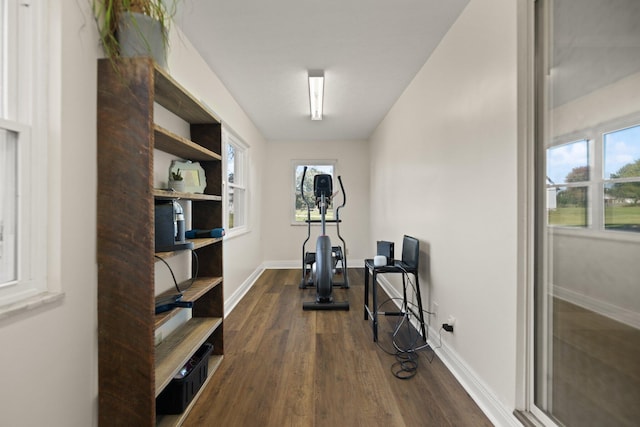 exercise room featuring dark wood-type flooring