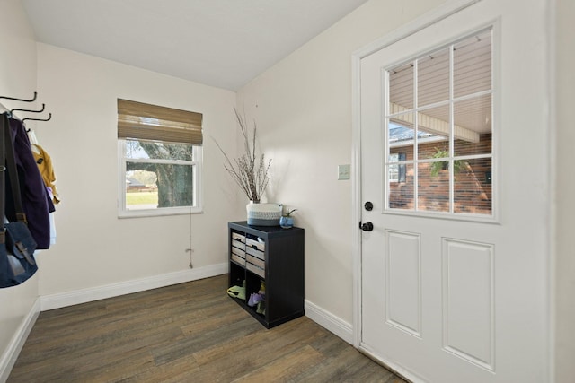 doorway with dark hardwood / wood-style floors