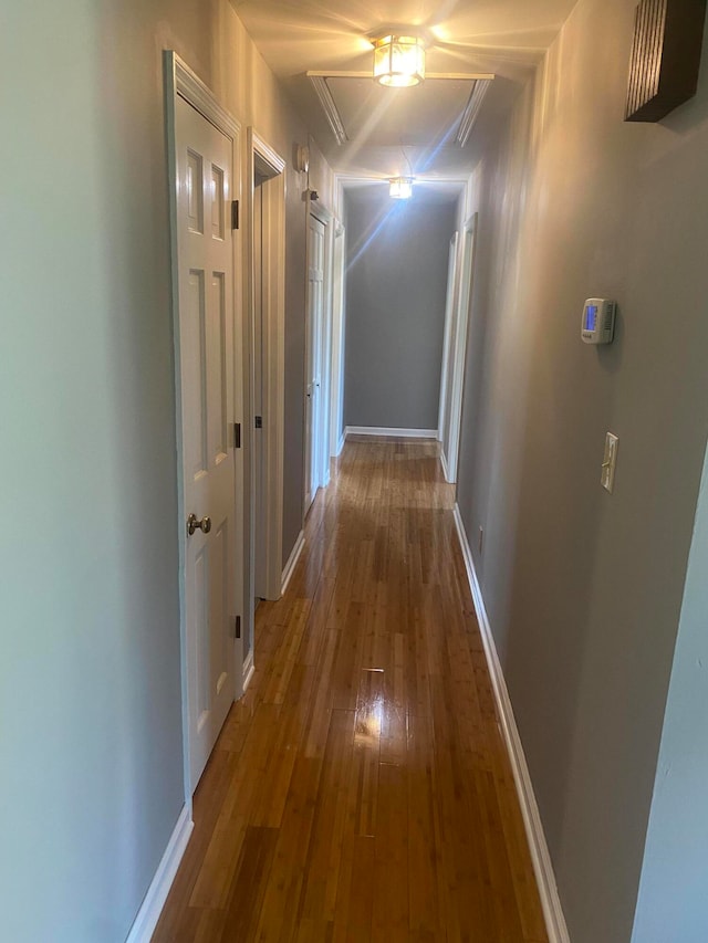 hallway featuring wood-type flooring