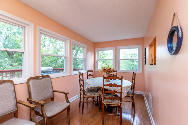 dining room featuring wood-type flooring and plenty of natural light