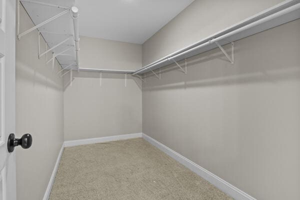 walk in closet featuring carpet flooring
