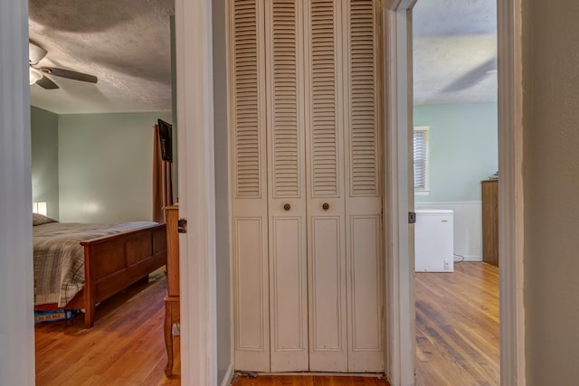 hallway with a textured ceiling and hardwood / wood-style floors