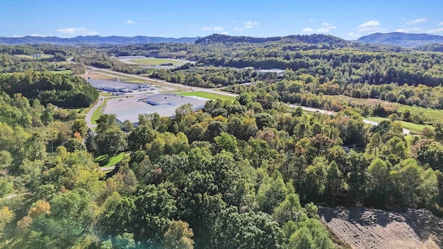 bird's eye view with a mountain view