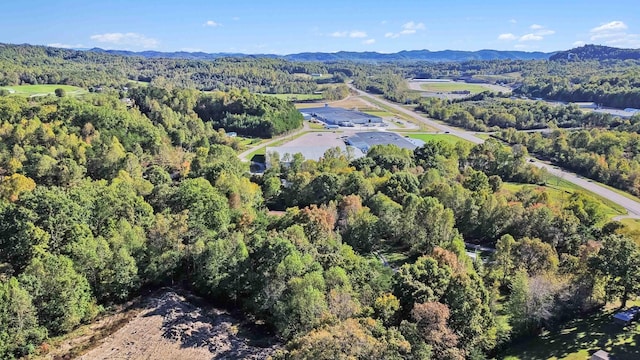 bird's eye view with a mountain view