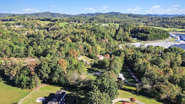 bird's eye view featuring a mountain view and a wooded view