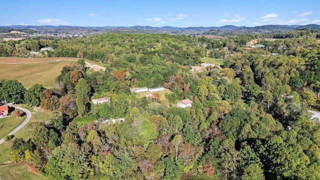 aerial view featuring a mountain view