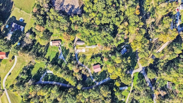 drone / aerial view