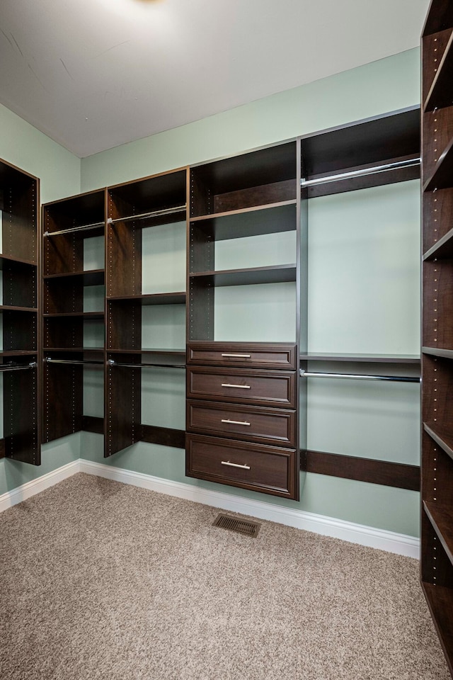 spacious closet with carpet flooring