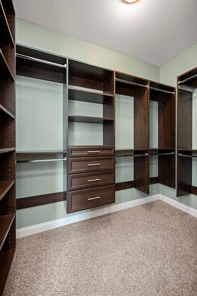 spacious closet featuring carpet flooring