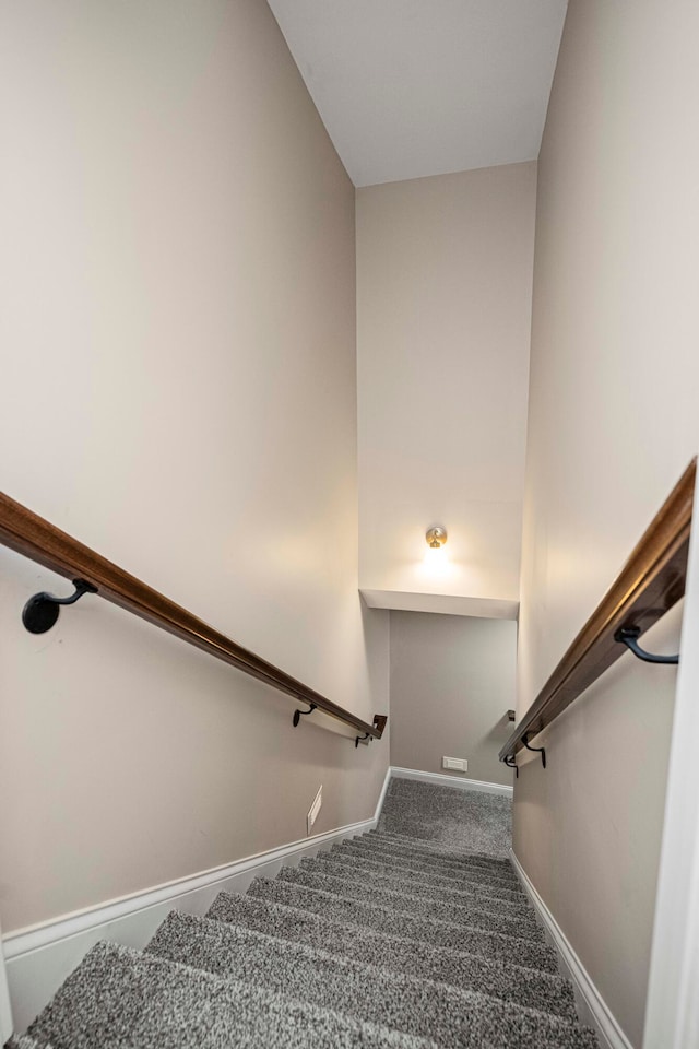 staircase featuring carpet flooring