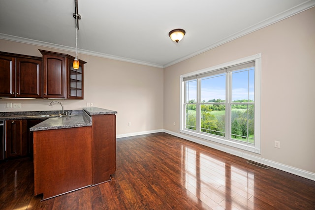 kitchen with sink, dark brown cabinets, dark hardwood / wood-style floors, dark stone countertops, and crown molding