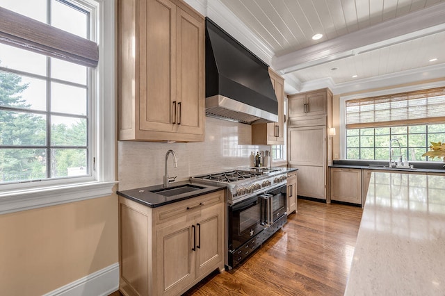 kitchen with wall chimney range hood, sink, plenty of natural light, and double oven range