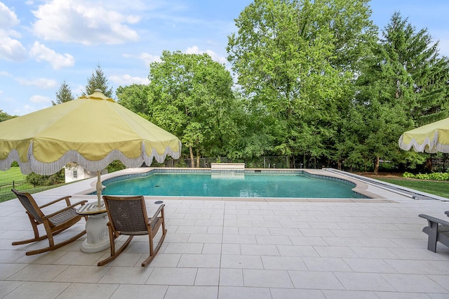 view of swimming pool with a patio area