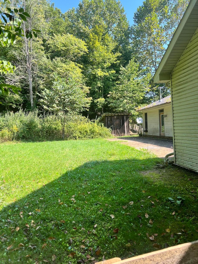 view of yard with a patio area