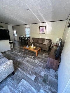 living room with a textured ceiling