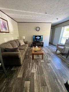 living room with dark hardwood / wood-style floors and a textured ceiling