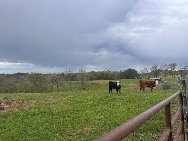 view of yard with a rural view