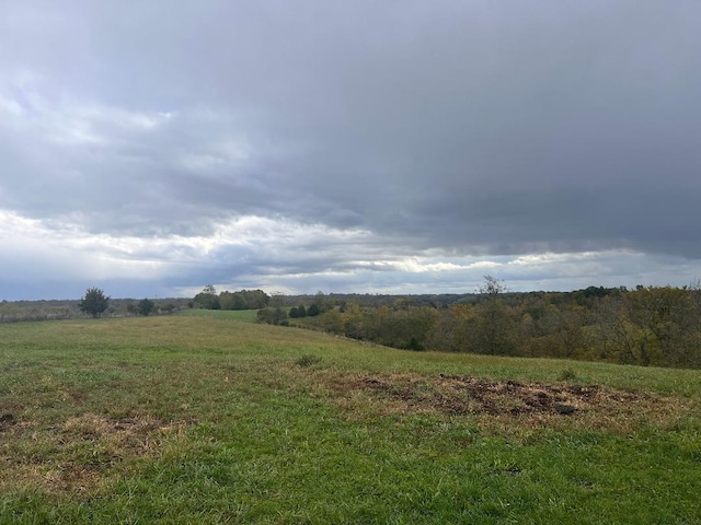 view of yard with a rural view