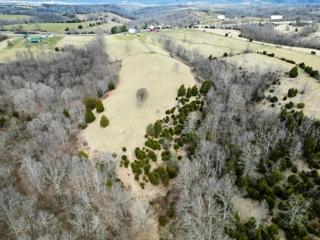 bird's eye view featuring a rural view