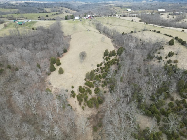 drone / aerial view with a rural view