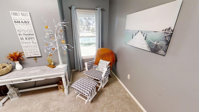 sitting room with carpet