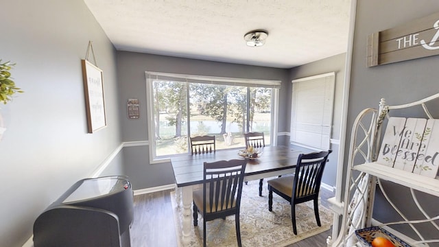 dining room featuring hardwood / wood-style floors