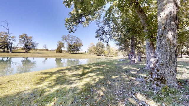 view of yard featuring a water view