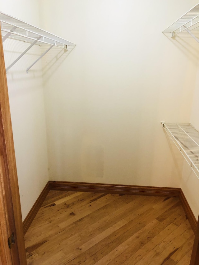 walk in closet featuring hardwood / wood-style flooring