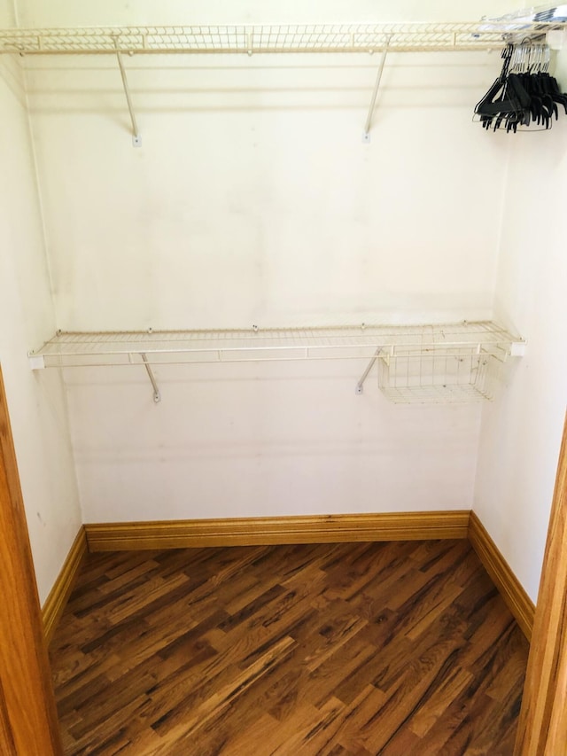 walk in closet with dark wood-type flooring