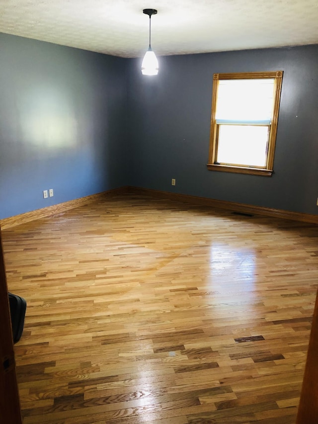 empty room featuring light wood-type flooring