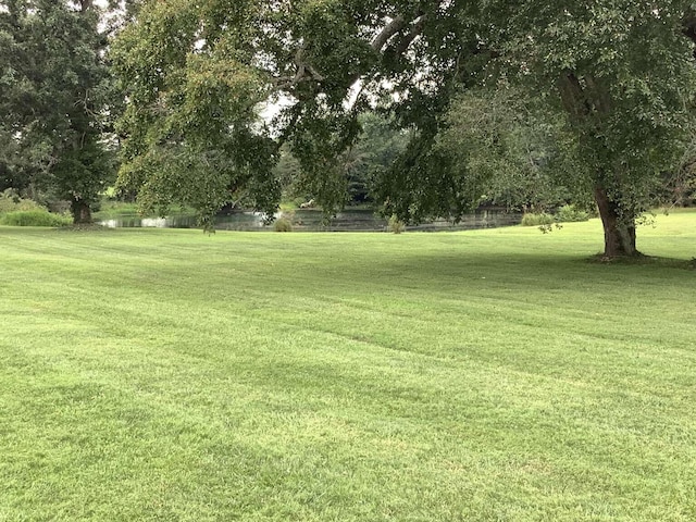 view of yard featuring a water view