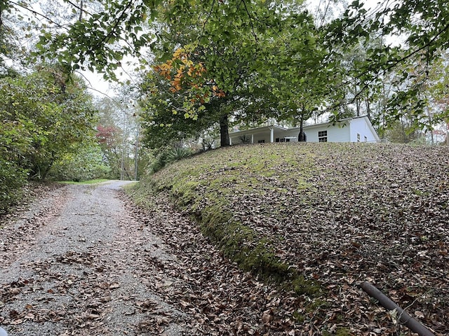 view of street featuring driveway