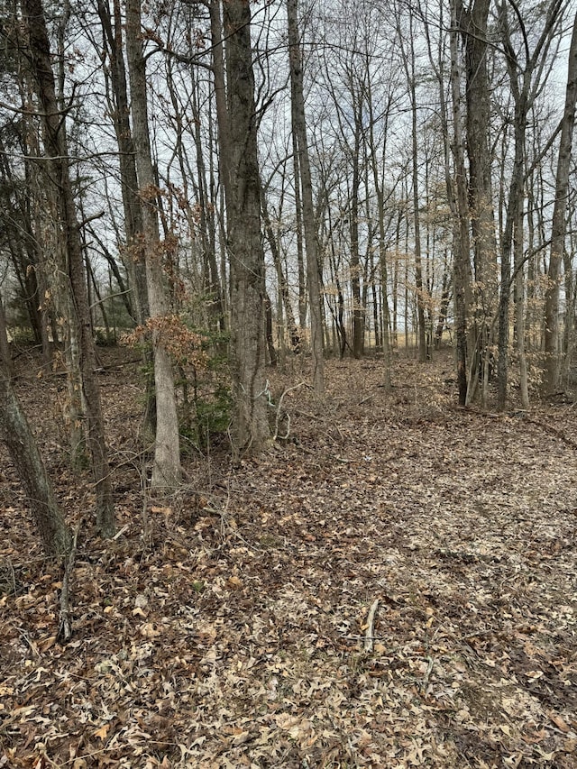305 Hart Ln, Russell Springs, KY 42642