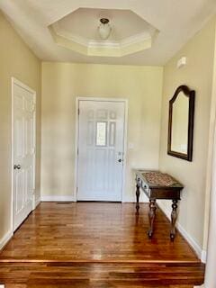 entrance foyer featuring hardwood / wood-style flooring and a raised ceiling