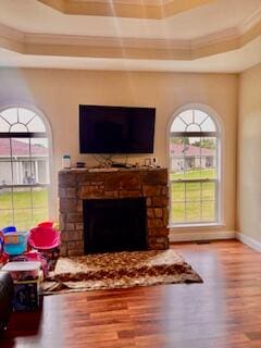 living room featuring a fireplace, wood-type flooring, a raised ceiling, and ornamental molding