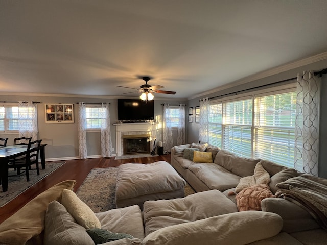 living area with crown molding, a fireplace with flush hearth, ceiling fan, baseboards, and dark wood-style floors