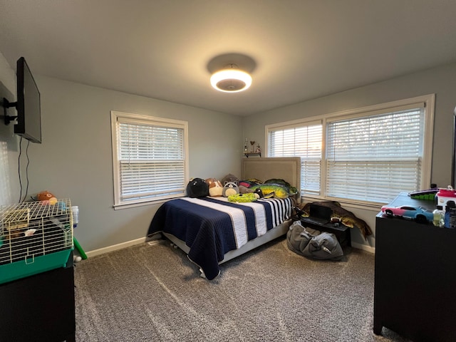 bedroom with carpet floors and multiple windows