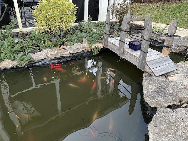 dock area featuring a small pond