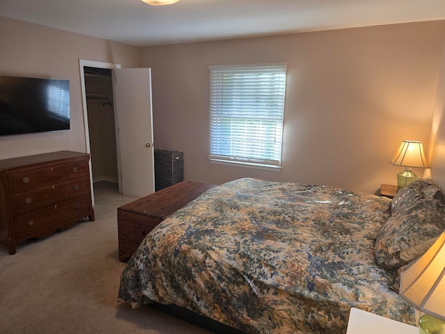 carpeted bedroom with a closet and a spacious closet