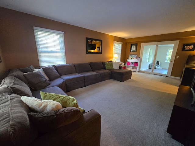 living room with carpet floors