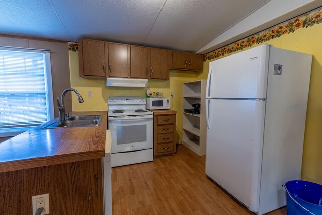 179 Bill Patrick Rd, Whitley City, KY 42653 - kitchen featuring white appliances, a sink, under cabinet range hood, light wood-style flooring, and brown cabinetry