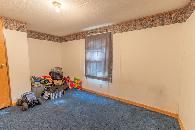 playroom featuring a textured ceiling and carpet flooring