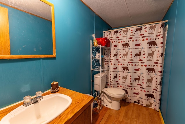 179 Bill Patrick Rd, Whitley City, KY 42653 - bathroom featuring wood finished floors, toilet, vanity, a shower with shower curtain, and a textured ceiling